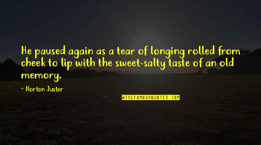 Salty Tears Quotes By Norton Juster: He paused again as a tear of longing