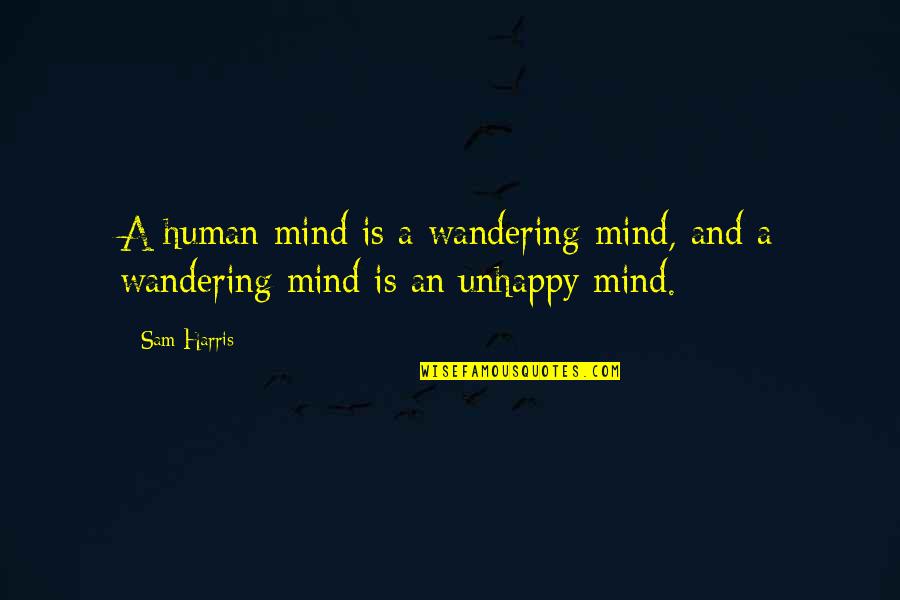 Salusa Quotes By Sam Harris: A human mind is a wandering mind, and