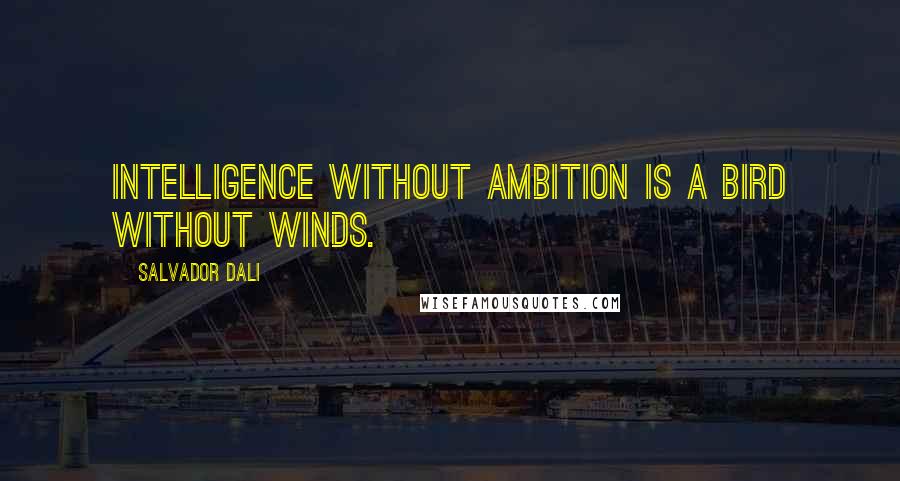 Salvador Dali quotes: Intelligence without ambition is a bird without winds.