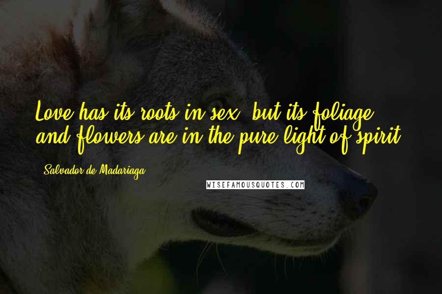 Salvador De Madariaga quotes: Love has its roots in sex, but its foliage and flowers are in the pure light of spirit.