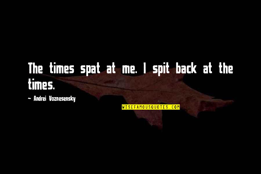 Salvager Quotes By Andrei Voznesensky: The times spat at me. I spit back