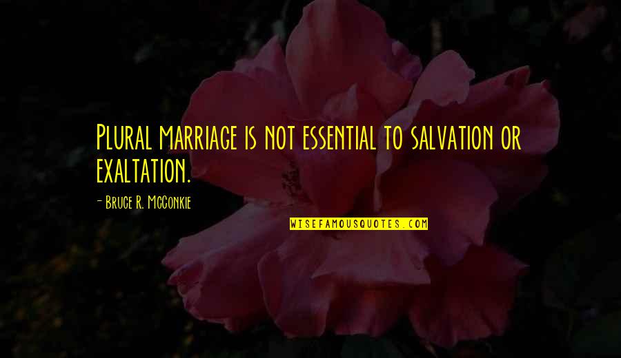 Salvation Quotes By Bruce R. McConkie: Plural marriage is not essential to salvation or