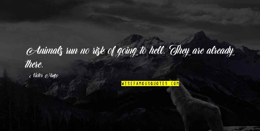 Salveto Quotes By Victor Hugo: Animals run no risk of going to hell.