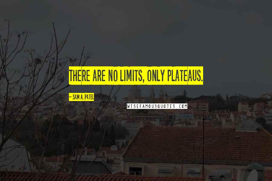 Sam A. Patel quotes: There are no limits, only plateaus.