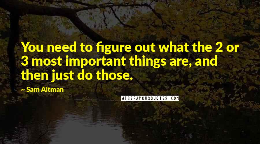 Sam Altman quotes: You need to figure out what the 2 or 3 most important things are, and then just do those.
