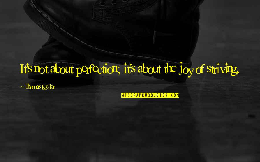 Sam And Max Cartoon Quotes By Thomas Keller: It's not about perfection; it's about the joy