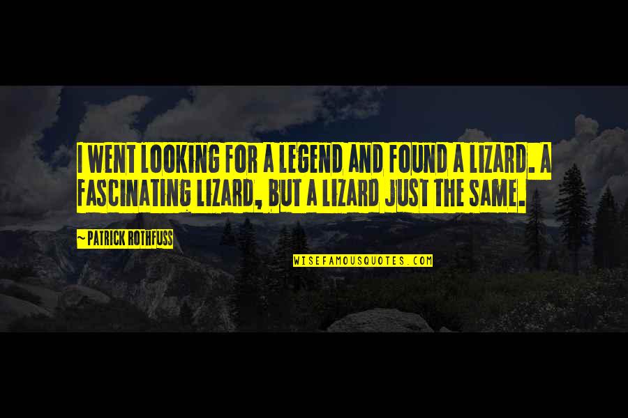 Sam And Ronnie Quotes By Patrick Rothfuss: I went looking for a legend and found
