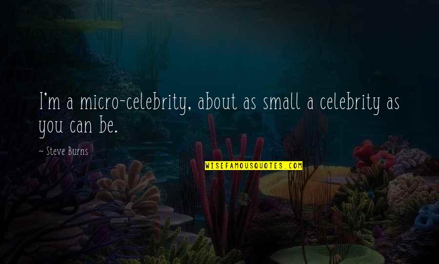 Sam Bowers Quotes By Steve Burns: I'm a micro-celebrity, about as small a celebrity
