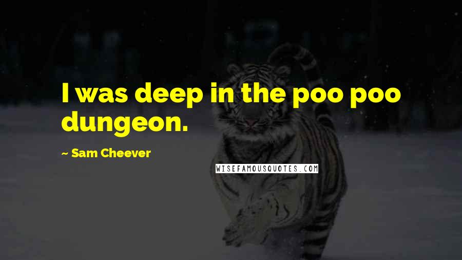 Sam Cheever quotes: I was deep in the poo poo dungeon.