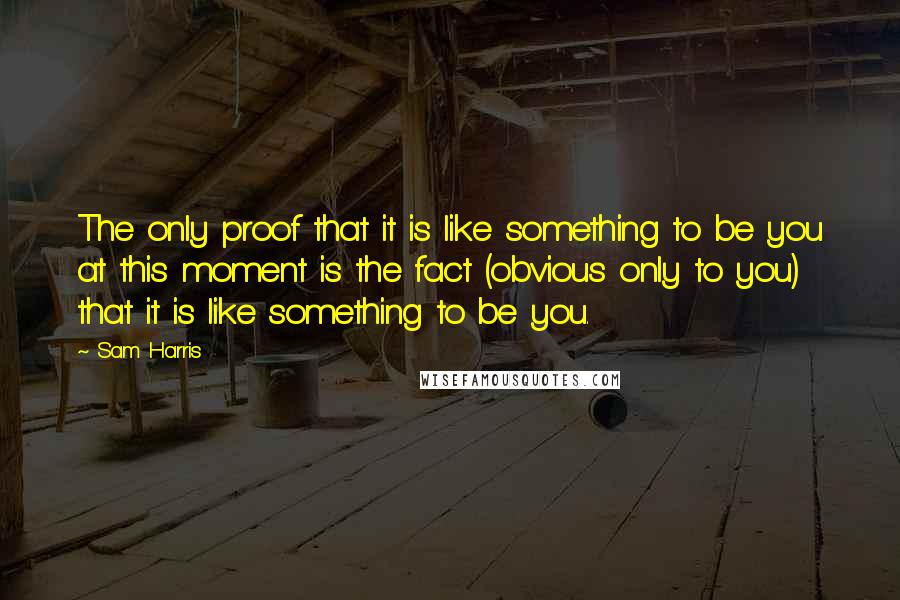 Sam Harris quotes: The only proof that it is like something to be you at this moment is the fact (obvious only to you) that it is like something to be you.