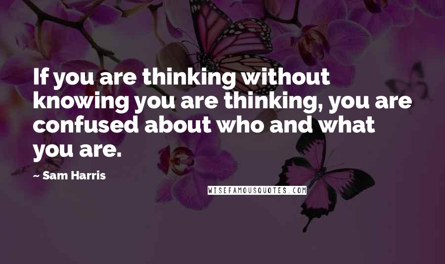 Sam Harris quotes: If you are thinking without knowing you are thinking, you are confused about who and what you are.