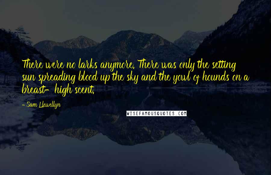 Sam Llewellyn quotes: There were no larks anymore. There was only the setting sun spreading blood up the sky and the yowl of hounds on a breast-high scent.