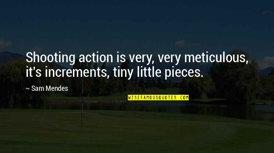 Sam Mendes Quotes By Sam Mendes: Shooting action is very, very meticulous, it's increments,
