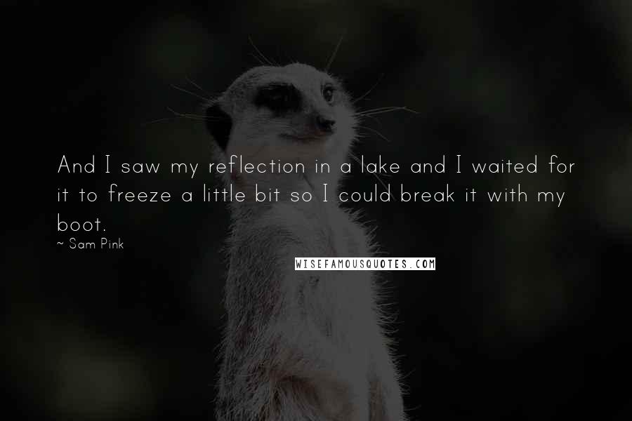 Sam Pink quotes: And I saw my reflection in a lake and I waited for it to freeze a little bit so I could break it with my boot. Sam Pink quotes: And I saw my reflection in a lake and I waited for it to freeze a little bit so I could break it with my boot.