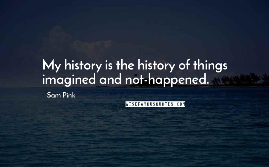 Sam Pink quotes: My history is the history of things imagined and not-happened.