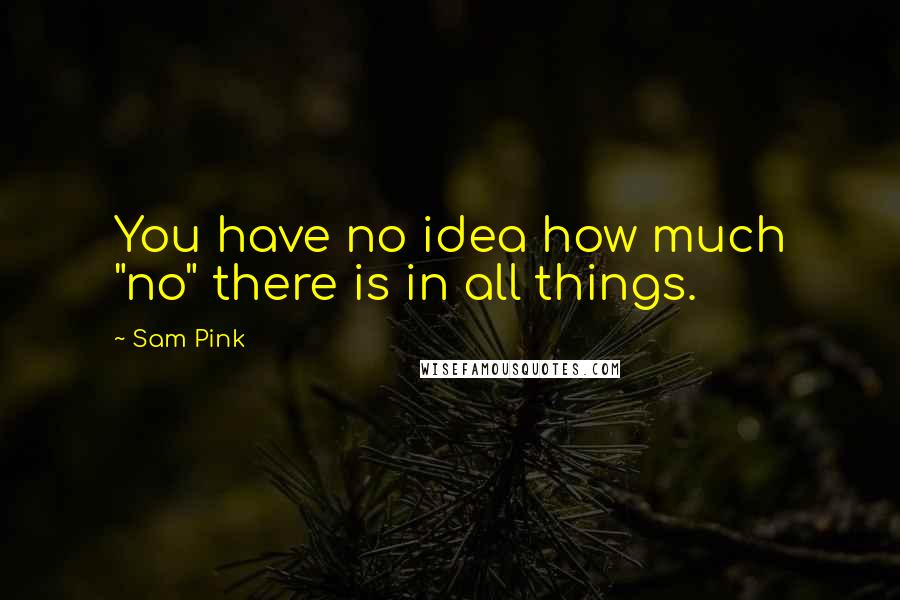 Sam Pink quotes: You have no idea how much "no" there is in all things.