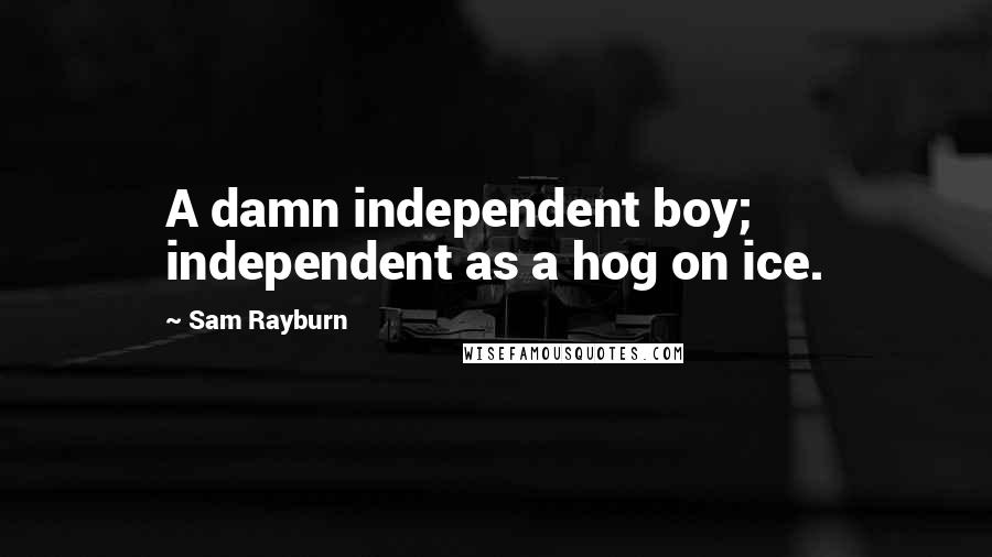 Sam Rayburn quotes: A damn independent boy; independent as a hog on ice.