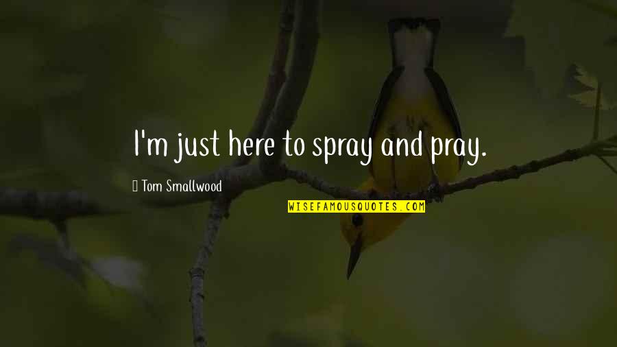 Sam Swarek And Andy Mcnally Quotes By Tom Smallwood: I'm just here to spray and pray.