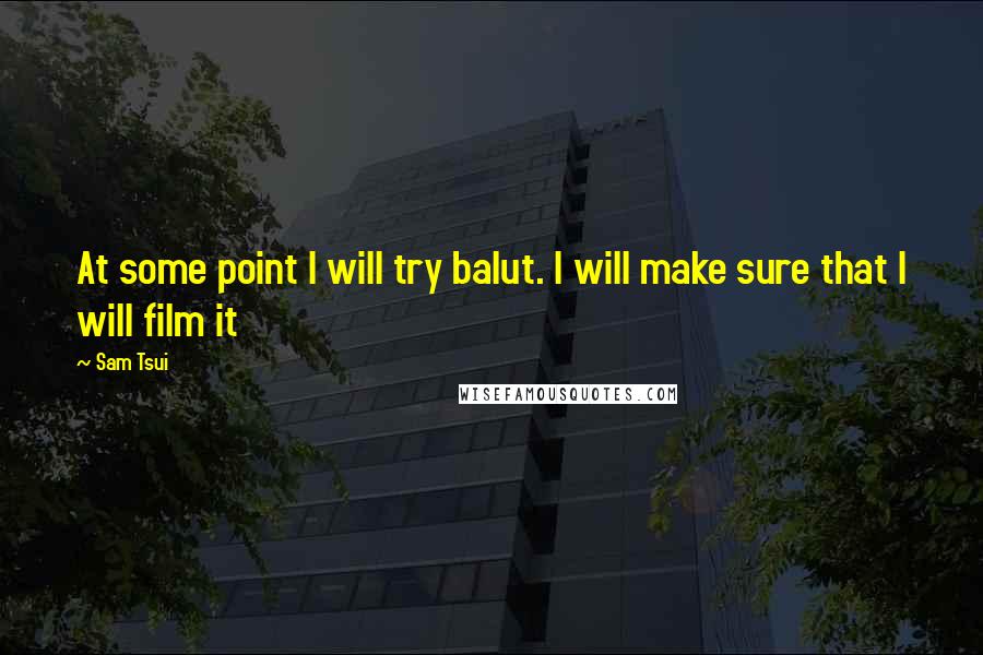 Sam Tsui quotes: At some point I will try balut. I will make sure that I will film it