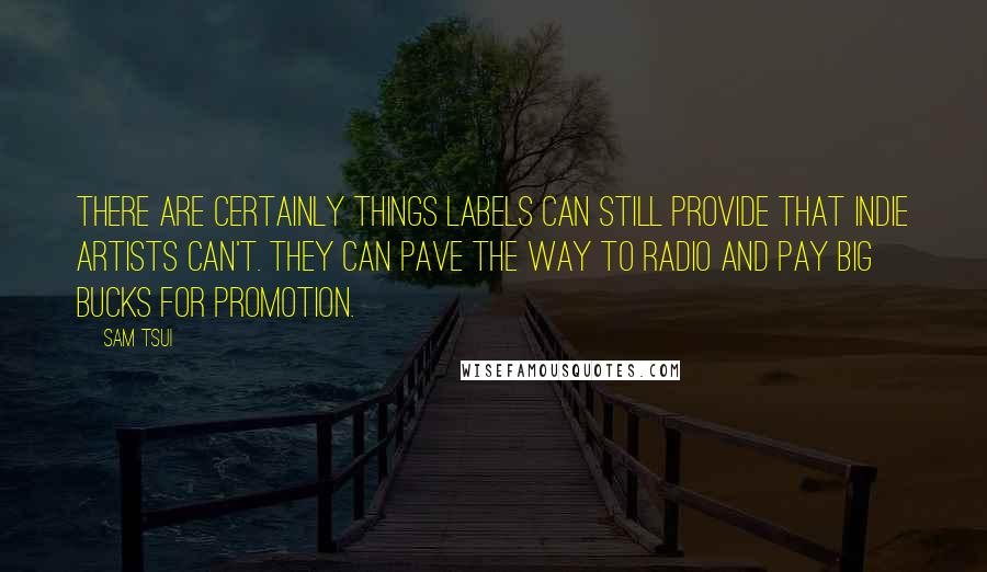 Sam Tsui quotes: There are certainly things labels can still provide that indie artists can't. They can pave the way to radio and pay big bucks for promotion. Sam Tsui quotes: There are certainly things labels can still provide that indie artists can't. They can pave the way to radio and pay big bucks for promotion.