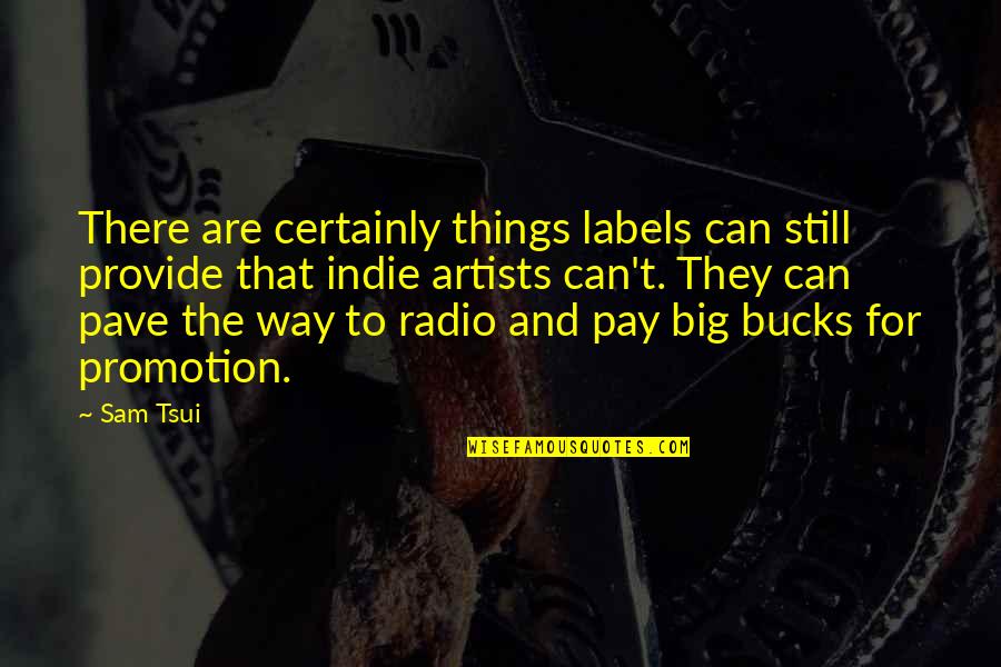 Sam Tsui Quotes By Sam Tsui: There are certainly things labels can still provide