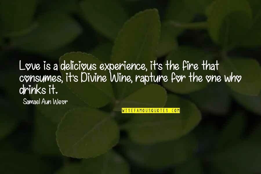 Samael Quotes By Samael Aun Weor: Love is a delicious experience, it's the fire Samael Quotes By Samael Aun Weor: Love is a delicious experience, it's the fire