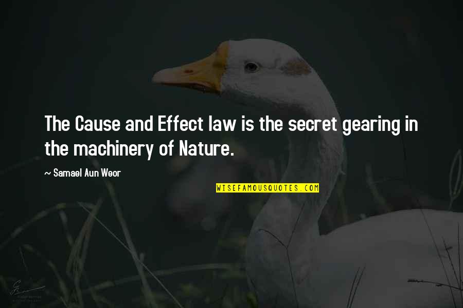 Samael Quotes By Samael Aun Weor: The Cause and Effect law is the secret