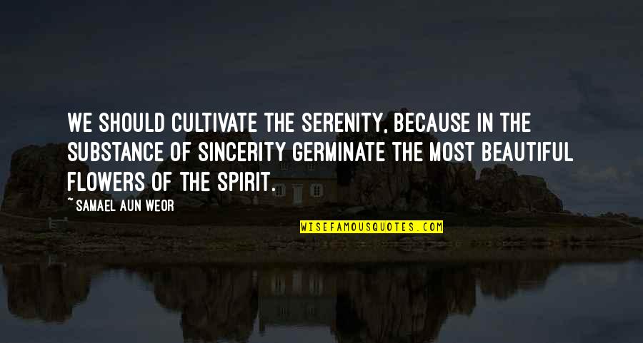 Samael Quotes By Samael Aun Weor: We should cultivate the serenity, because in the Samael Quotes By Samael Aun Weor: We should cultivate the serenity, because in the