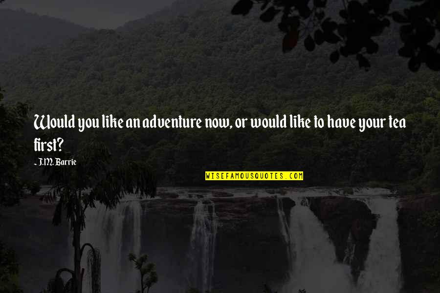 Saman Quotes By J.M. Barrie: Would you like an adventure now, or would