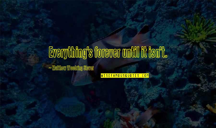 Samandar Main Quotes By Matthew Woodring Stover: Everything's forever until it isn't.