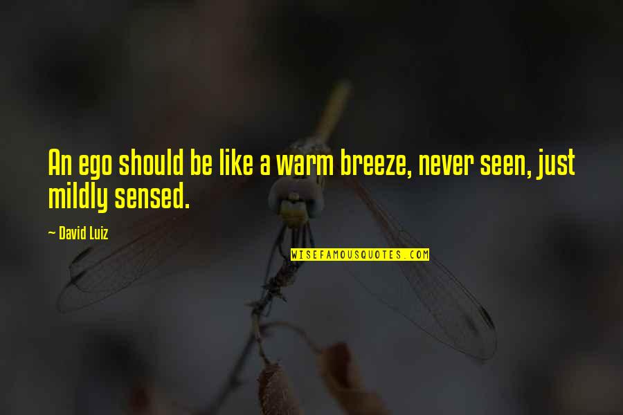 Samandar Quotes By David Luiz: An ego should be like a warm breeze,