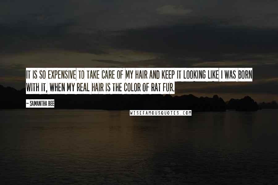 Samantha Bee quotes: It is so expensive to take care of my hair and keep it looking like I was born with it, when my real hair is the color of rat fur. Samantha Bee quotes: It is so expensive to take care of my hair and keep it looking like I was born with it, when my real hair is the color of rat fur.