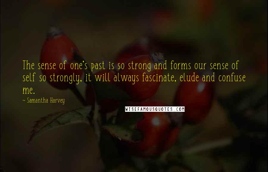 Samantha Harvey quotes: The sense of one's past is so strong and forms our sense of self so strongly, it will always fascinate, elude and confuse me.