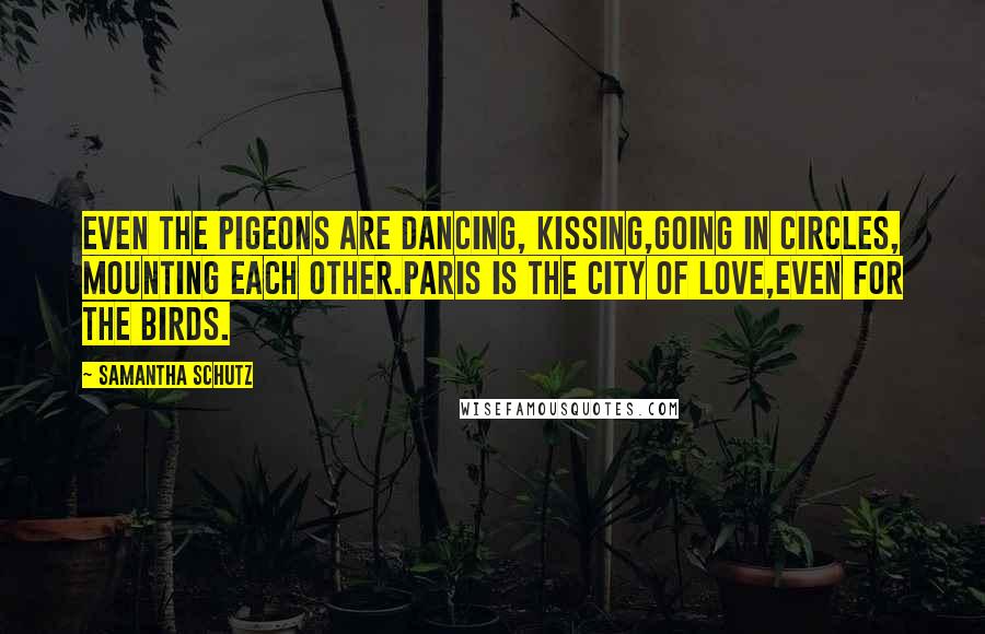 Samantha Schutz quotes: Even the pigeons are dancing, kissing,going in circles, mounting each other.Paris is the city of love,even for the birds.