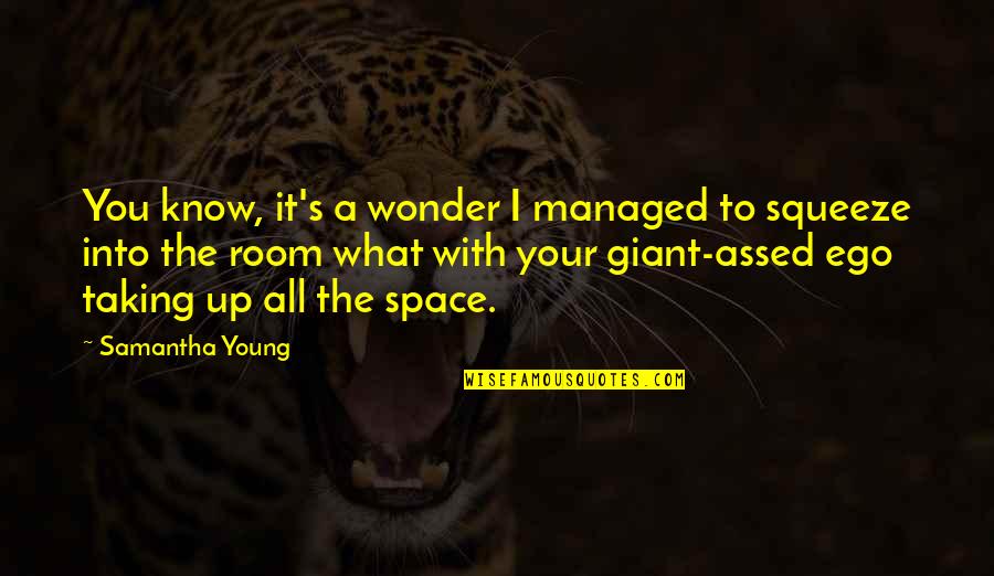 Samantha Young Quotes By Samantha Young: You know, it's a wonder I managed to