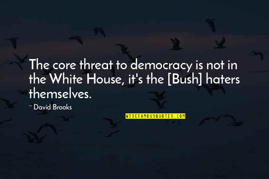 Samber Stallion Quotes By David Brooks: The core threat to democracy is not in
