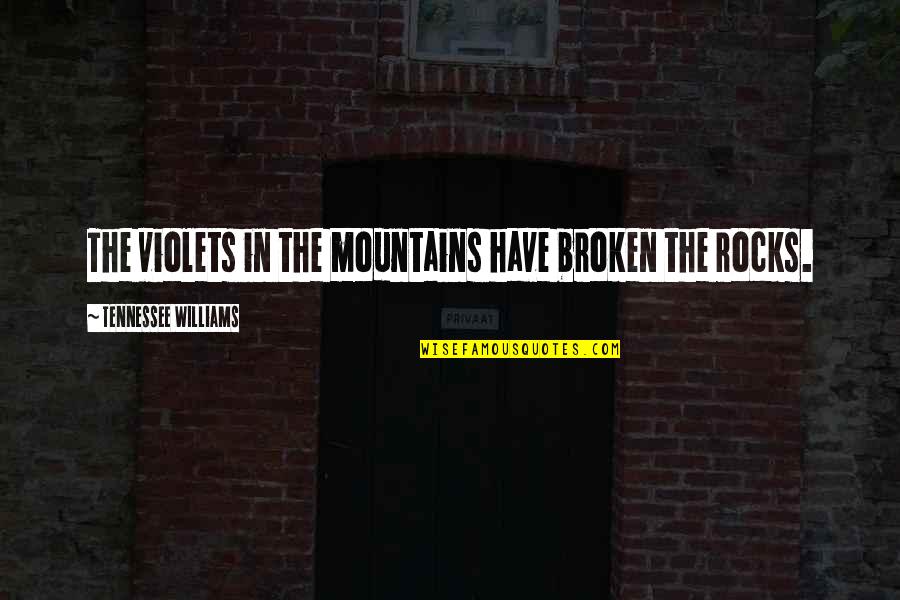 Samberg Of Snl Quotes By Tennessee Williams: The violets in the mountains have broken the Samberg Of Snl Quotes By Tennessee Williams: The violets in the mountains have broken the
