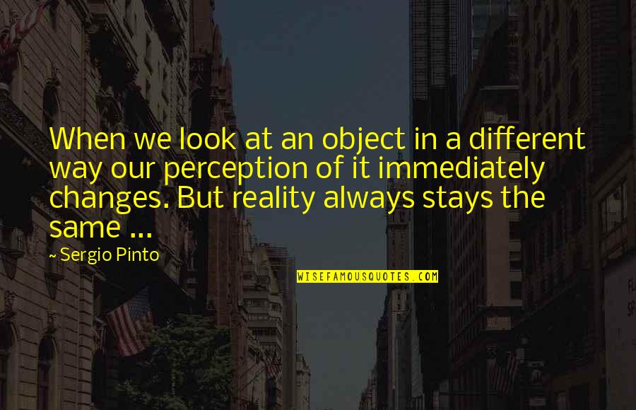 Same But Different Quotes By Sergio Pinto: When we look at an object in a