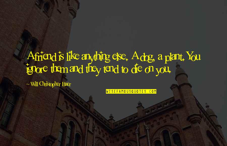 Sameerah Luqmaan Harris Quotes By Will Christopher Baer: A friend is like anything else. A dog, Sameerah Luqmaan Harris Quotes By Will Christopher Baer: A friend is like anything else. A dog,