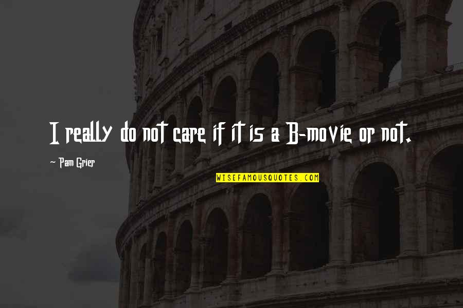 Samiyam World Quotes By Pam Grier: I really do not care if it is Samiyam World Quotes By Pam Grier: I really do not care if it is