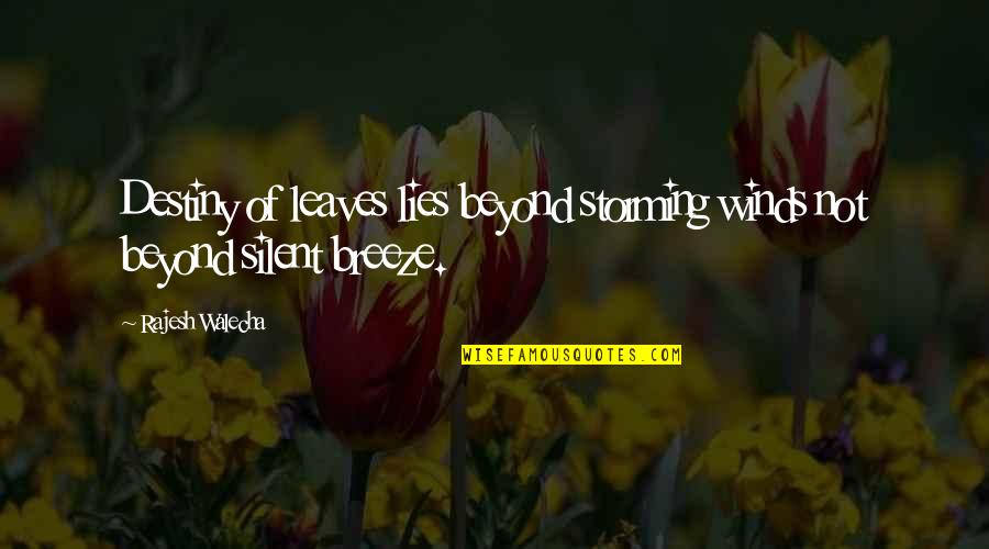 Sammakka Quotes By Rajesh Walecha: Destiny of leaves lies beyond storming winds not