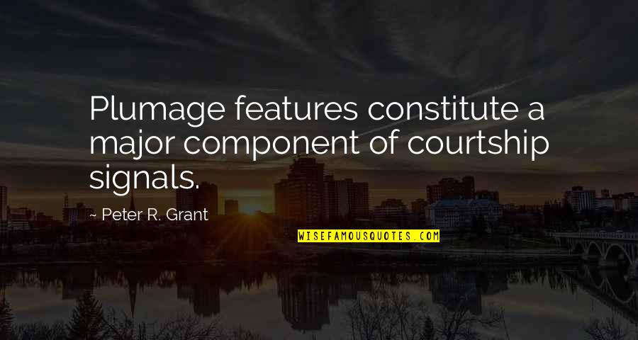 Sammiches Quotes By Peter R. Grant: Plumage features constitute a major component of courtship