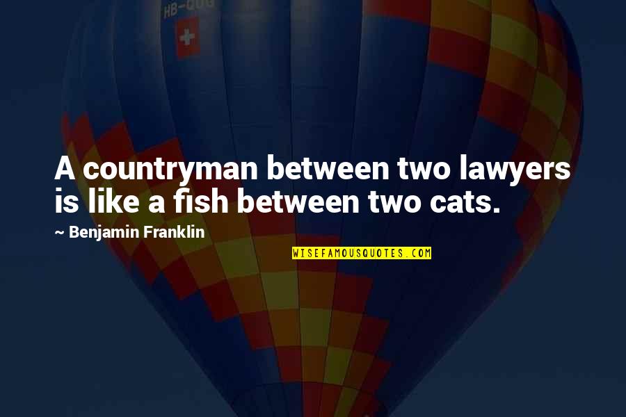 Samoan Funny Quotes By Benjamin Franklin: A countryman between two lawyers is like a Samoan Funny Quotes By Benjamin Franklin: A countryman between two lawyers is like a