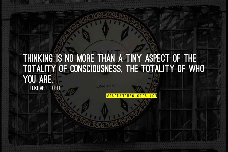 Samojedai Quotes By Eckhart Tolle: Thinking is no more than a tiny aspect Samojedai Quotes By Eckhart Tolle: Thinking is no more than a tiny aspect