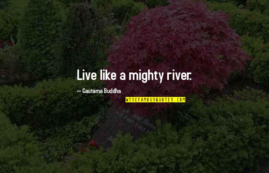 Samosas Near Quotes By Gautama Buddha: Live like a mighty river.
