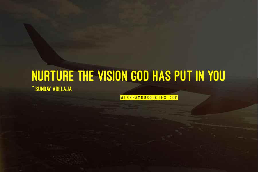Sampedro Striped Quotes By Sunday Adelaja: Nurture the vision God has put in you