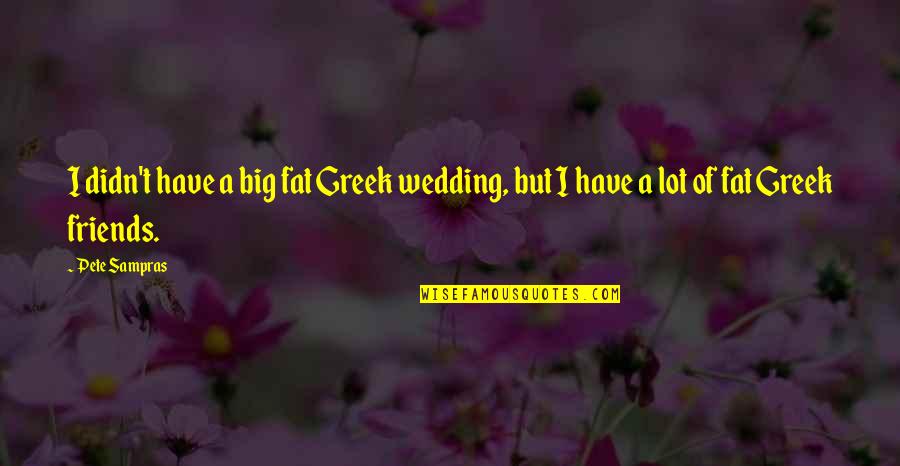 Sampras's Quotes By Pete Sampras: I didn't have a big fat Greek wedding,