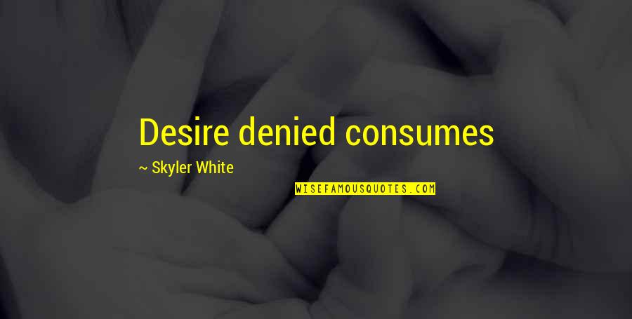 Samuel Blumenfeld Quotes By Skyler White: Desire denied consumes
