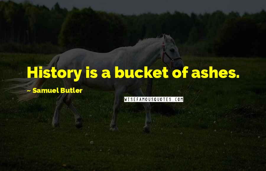 Samuel Butler quotes: History is a bucket of ashes.