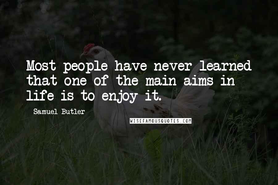 Samuel Butler quotes: Most people have never learned that one of the main aims in life is to enjoy it.